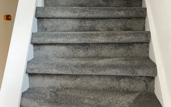 Trap Bekleden aanbieding Monster