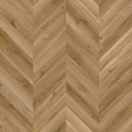 Dynamic Hongaarse Punt – 754h13