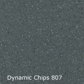 Dynamic Chips – 744807
