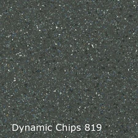 Vinyl Dynamic Chips 744819