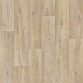 Domestic Wood – 719s26