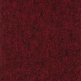 Robusta Project-SDN – 480435