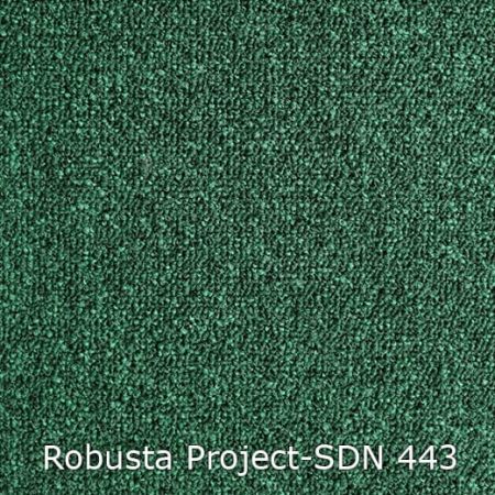 Tapijt Robusta Project SDN 480443