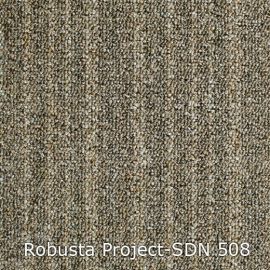 Robusta Project-SDN – 480508