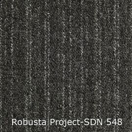 Robusta Project-SDN – 480548